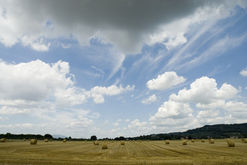 landscape Italy from the country with hay
