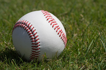 Full grain leather cover baseball on the grass