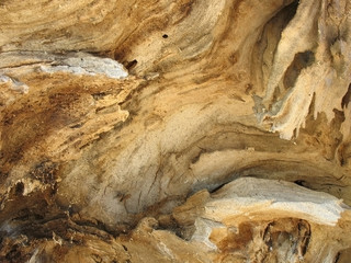 Old wood. Background.