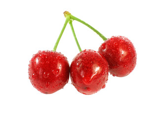 Three red cherries in drops of water. 