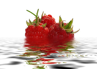 Red berry raspberry lays in water