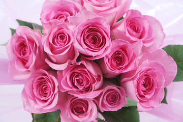 One dozen pink roses in a pink wrap