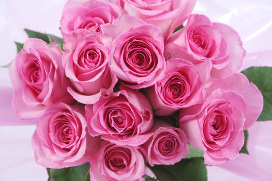 One Dozen Pink Roses In A Pink Wrap