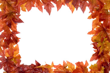  fall leaves frame isolated on a white background
