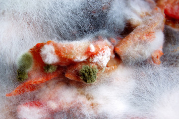 Colourful rotten vegetables
