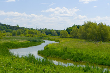 tranquil summer scene