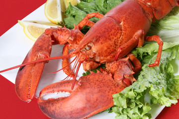A large lobster dinner in a restaurant