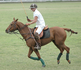 Polo Player & Horse
