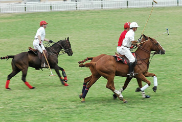 Three Polo Players & Horses