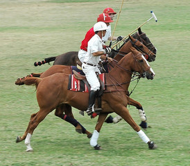 Three Polo Players