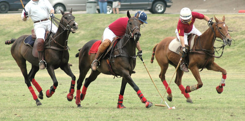 Three Polo Players