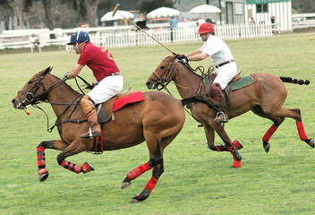 Polo Players