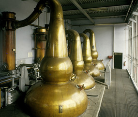 Distillery 1