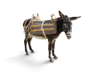 Zelfklevend Fotobehang Greek Mule / Donkey © MartinKraft
