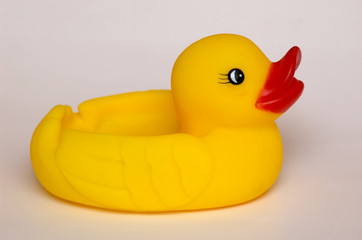 An image of duck with duckling k4j4