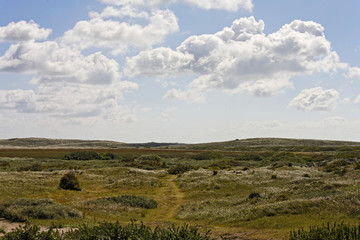Obraz premium landscape of Terschelling