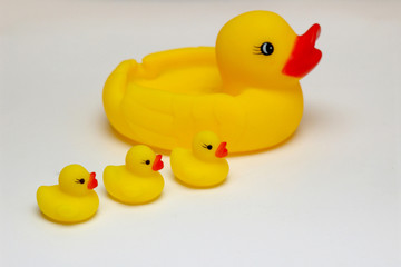 An image of duck with duckling jhk4