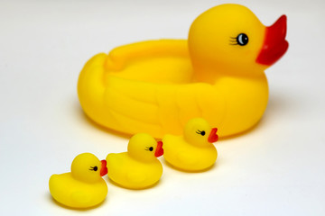 An image of duck with duckling ld2