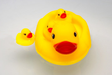 An image of duck with duckling jk