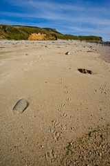 Paysage à marée basse