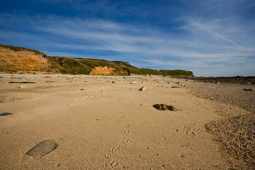 Paysage à marée basse