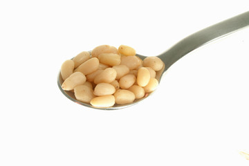 Zedernkerne