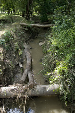 polluted brook