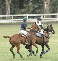 Two Polo Players Racing