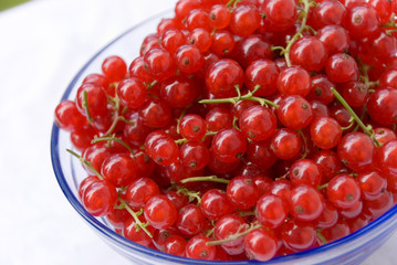 Frische Johannisbeeren 3