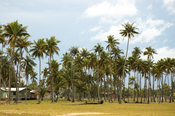 a small malaysian village at sea side