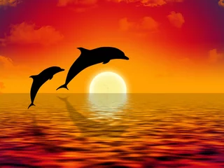 Fotobehang illustratie van twee dolfijnen die bij zonsondergang zwemmen © marinini