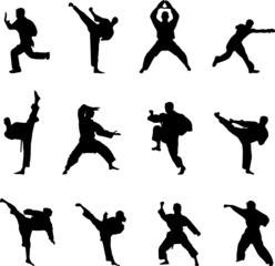 martial arts silhouettes