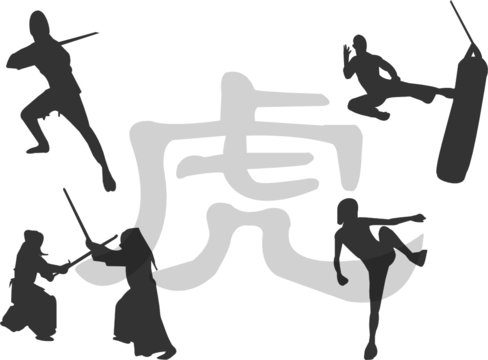 martial arts illustration