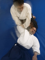 Aikido practice