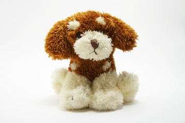 A toy - a soft, children's dog 3