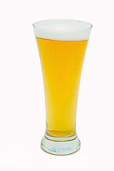 glass of beer isolated on white background