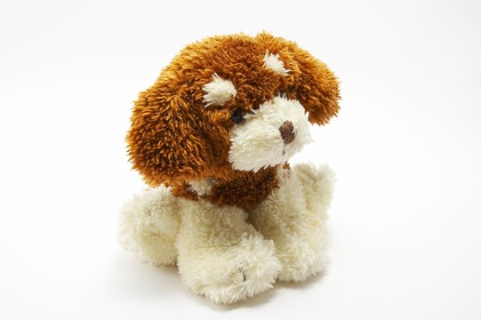 A toy - a soft, children's dog 2
