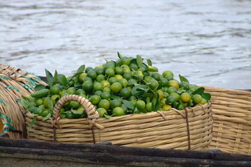 Citrons vert, Vietnam