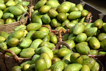Fruits, Mangues