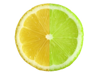 Close-up of fresh citrus Clipping path.