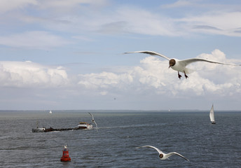 Traffic on the waddenzee