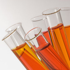 close-up of test tubes with orange liquids