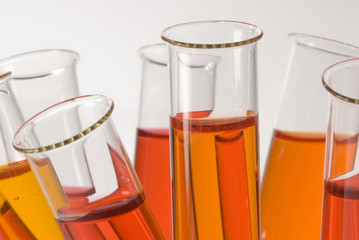 close-up of test tubes with orange liquids