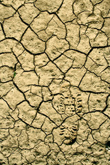 desert soil