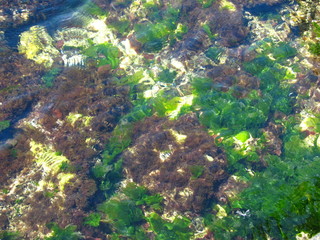 Underwater