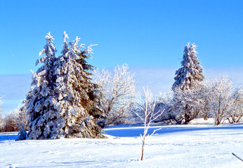 Winter in der Rhön