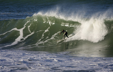 surf