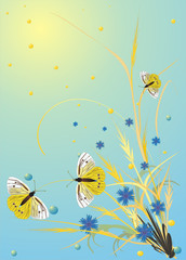 illustration with butterflies, spikes and flowers