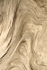 wood texture