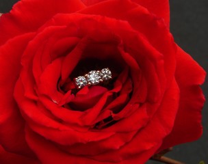 Diamondsand Roses